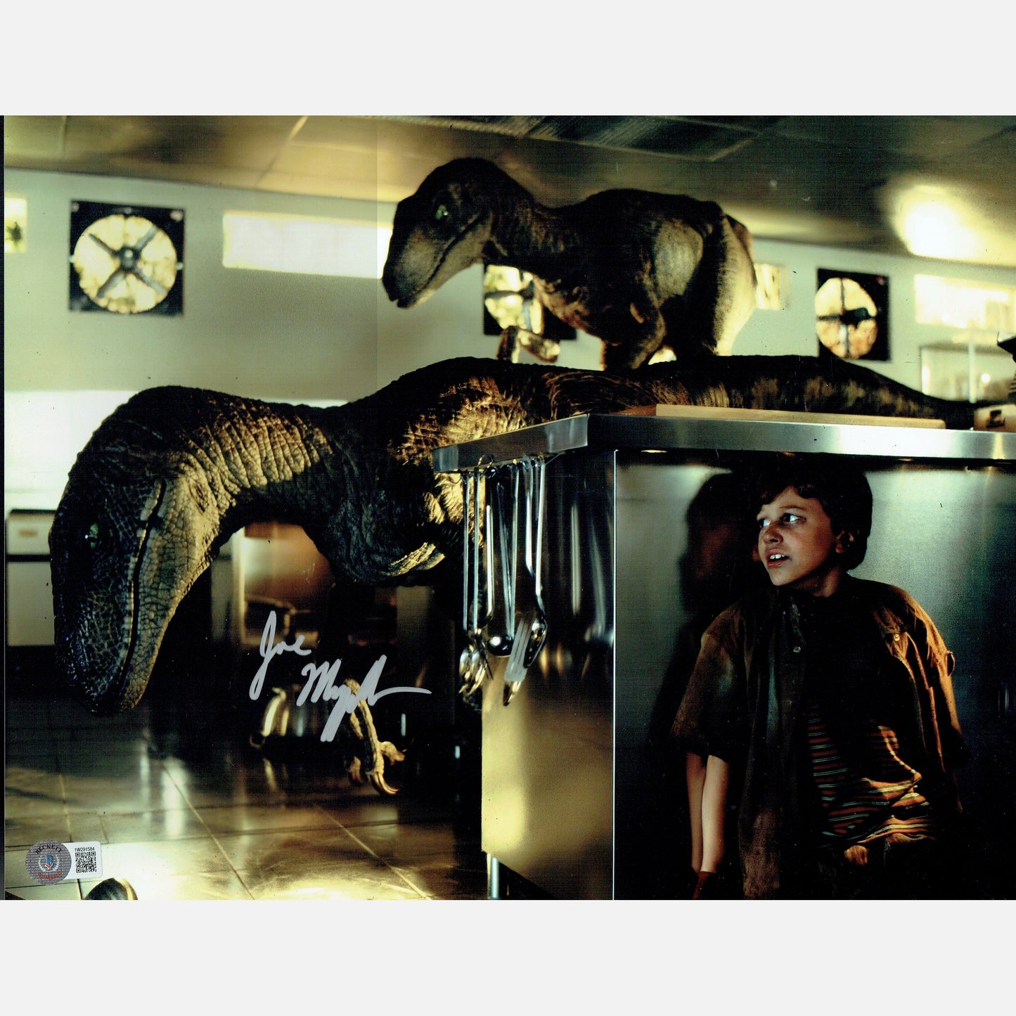 JOSEPH MAZZELLO autograph BECKETT signed 11x14 photography Jurassic Park 11x14