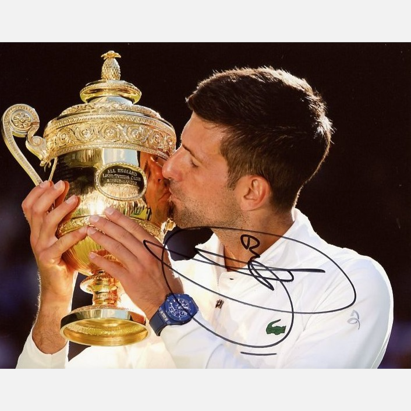 NOVAK DJOKOVIC autograph ACOA signed 8x10 photography TENNIS 8x10