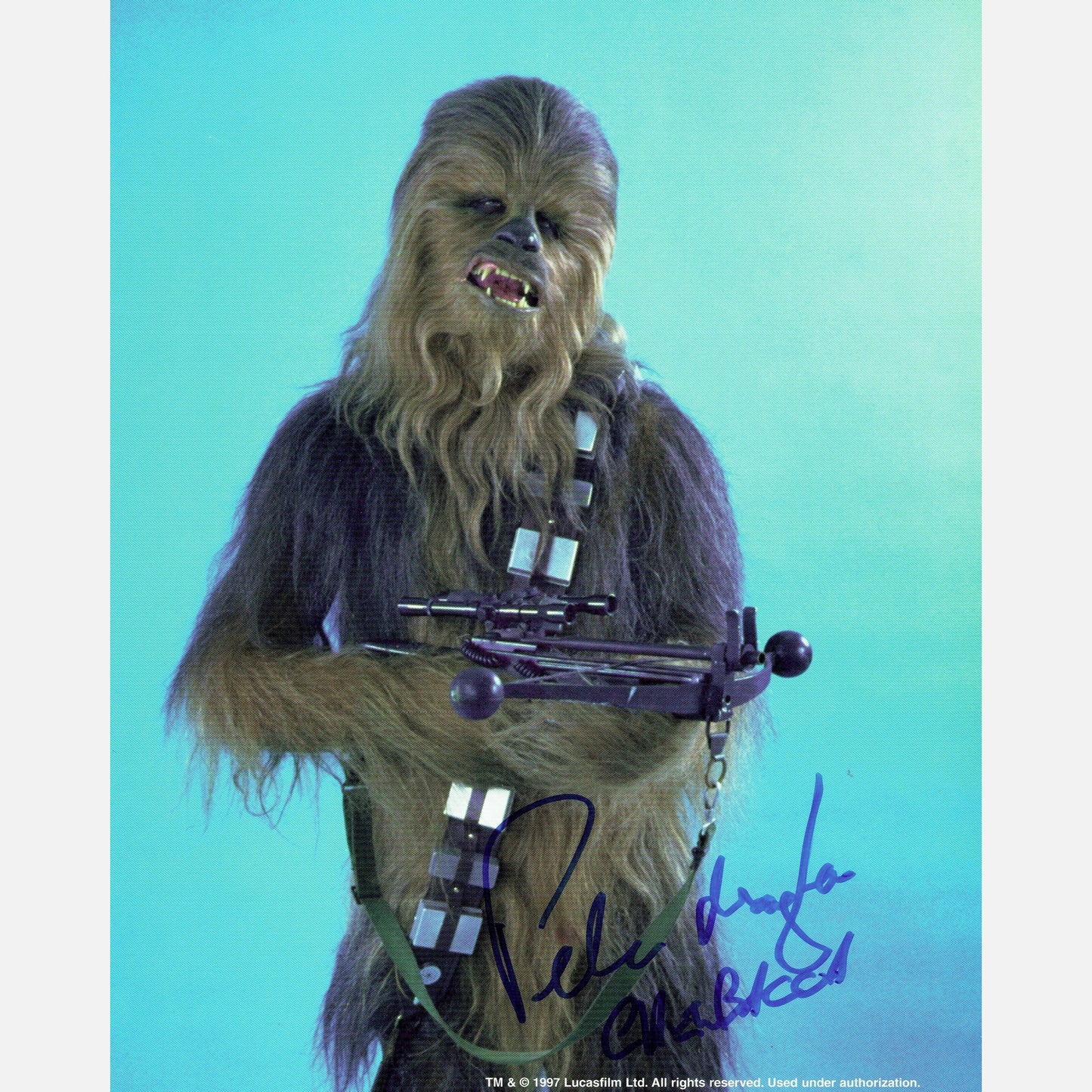PETER MAYHEW autograph ACOA signed 8x10 photography STAR WARS 8x10