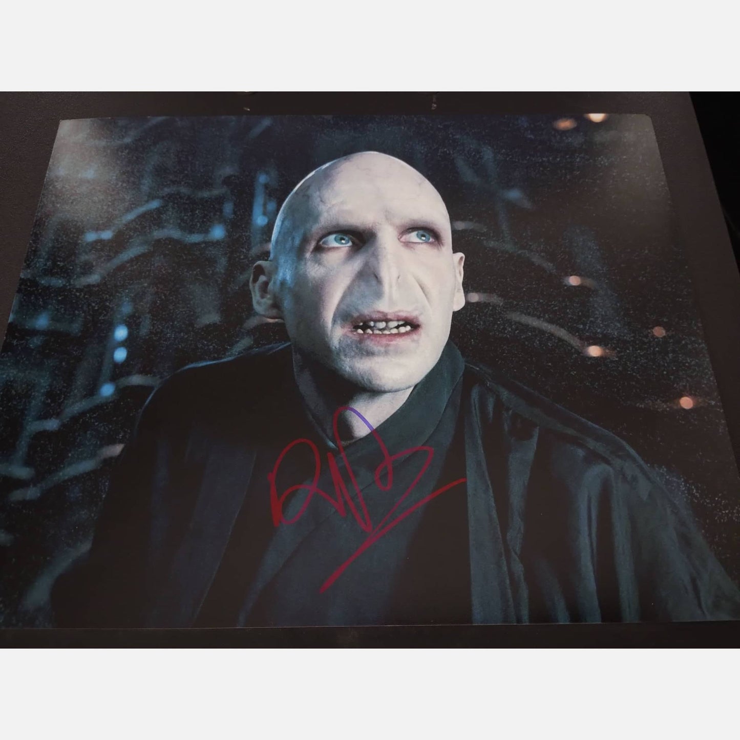 RALPH FIENNES autograph ACOA signed 8x10 photography HARRY POTTER 8x10