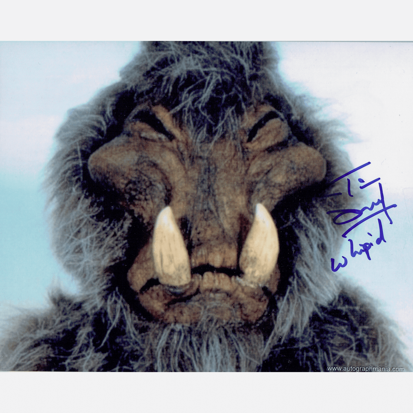 TIM DRY autograph ACOA signed 8x10 photography STAR WARS 8x10