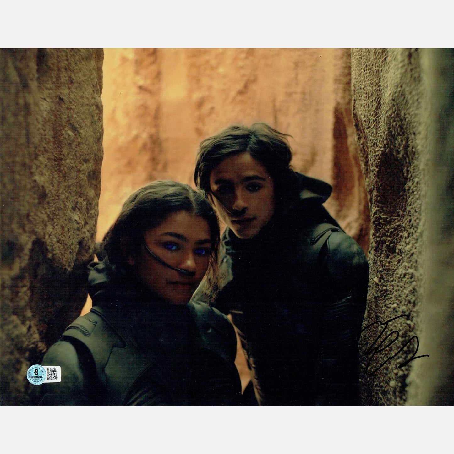 TIMOTHY CHALAMET autograph BECKETT signed 11x14 photography DUNE 11x14