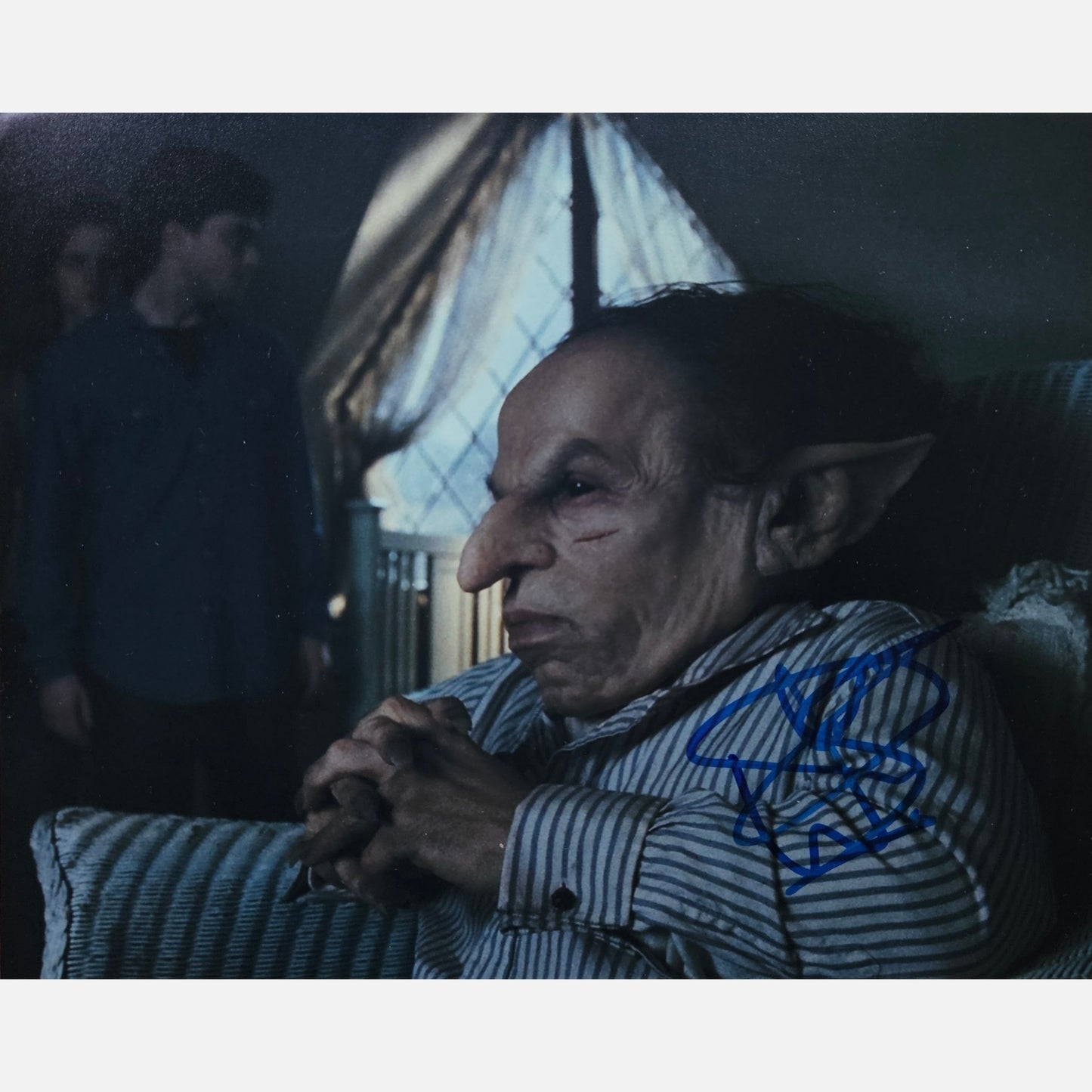 WARWICK DAVIS autograph ACOA signed 8x10 photography HARRY POTTER 8x10