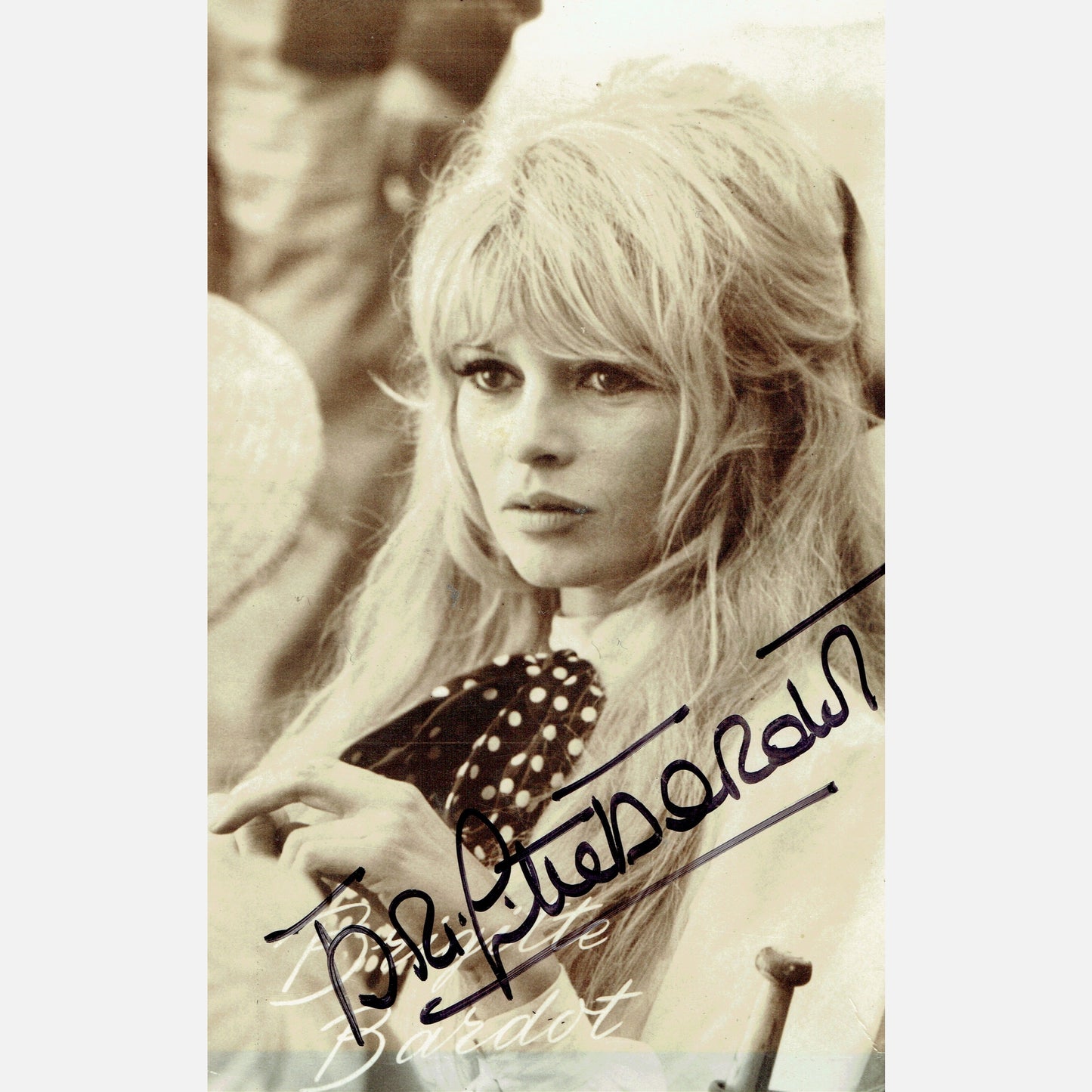 Autograf BRIGITTE BARDOT Certyfikat ACOA 9x14 cm Vintage