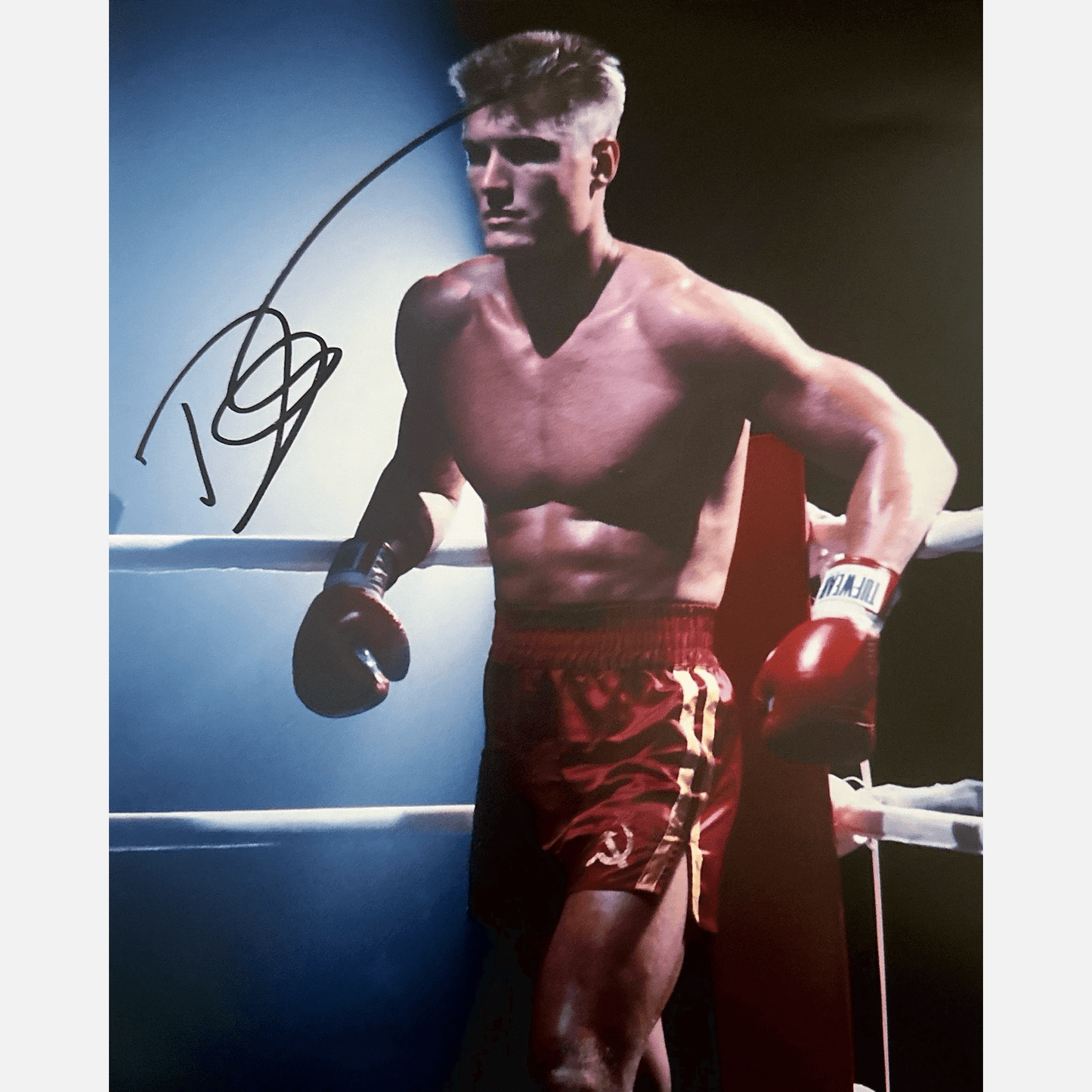 Autograf DOLPH LUNDGREN Certyfikat ACOA 20x25 cm ROCKY