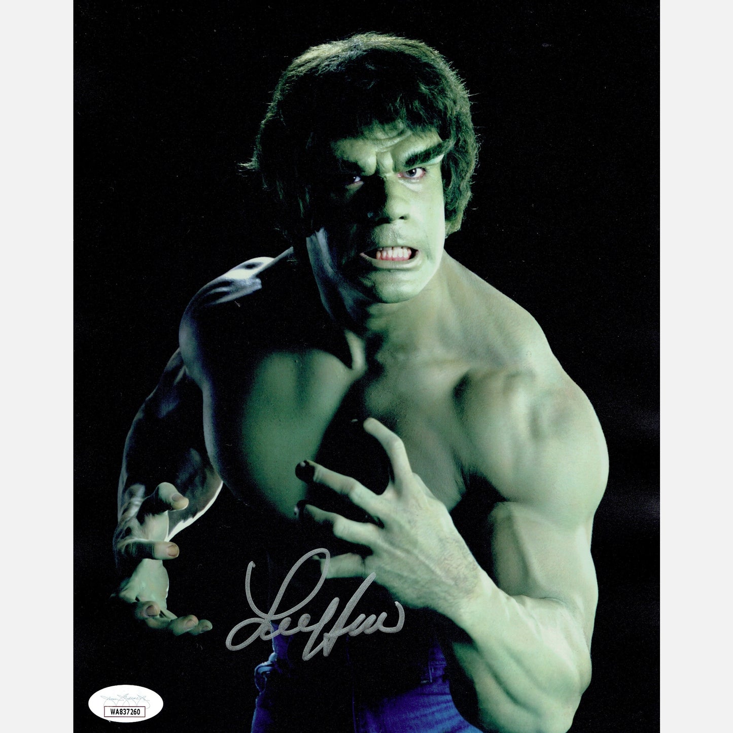 Autograf LOU FERRIGNO Certyfikat JSA 20x25 cm HULK