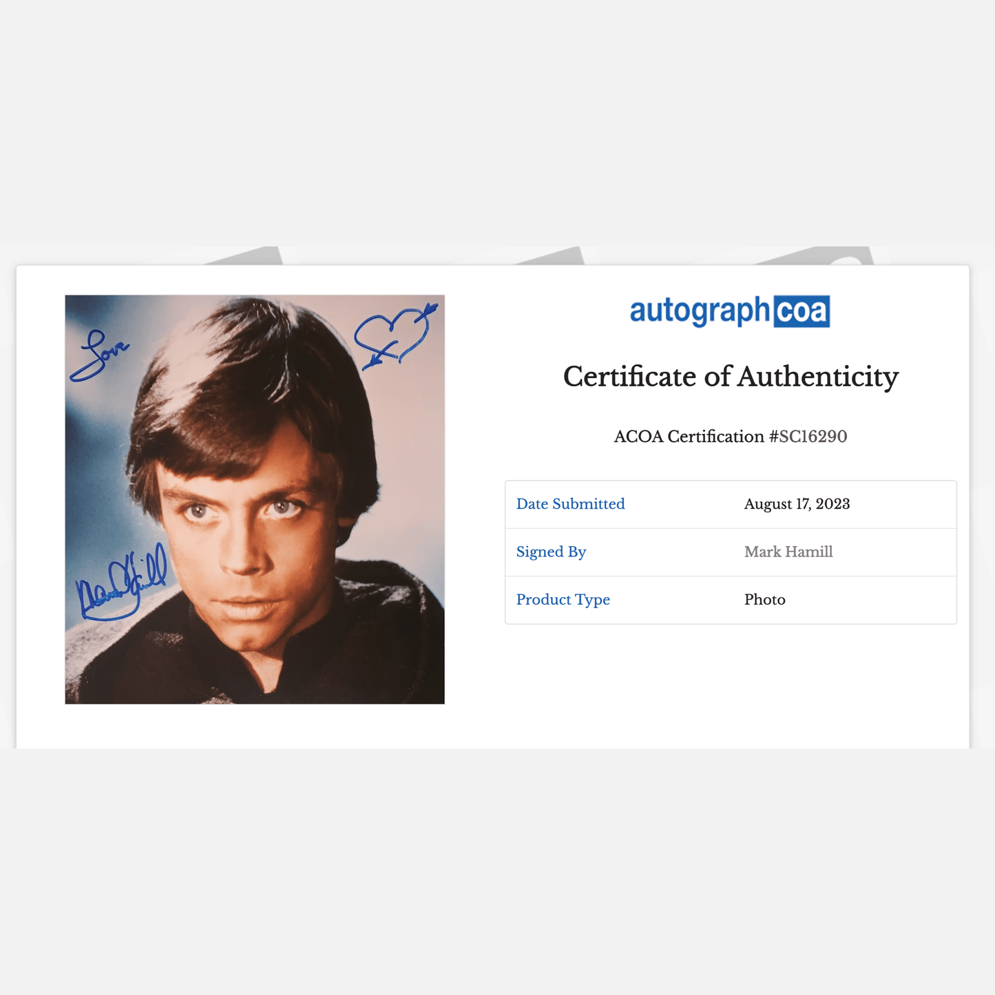 Autograf MARK HAMILL Certyfikat ACOA 20x25 cm GWIEZDNE WOJNY