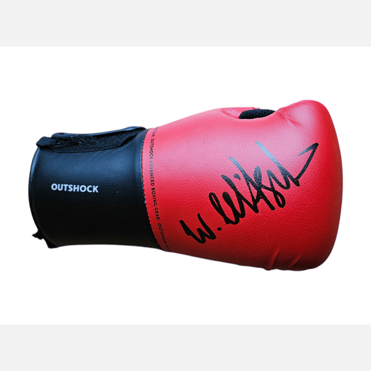 VITALI KLITSCHKO autograph ACOA certificate signed Boxing Glove Glove
